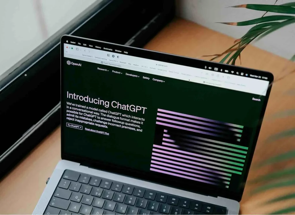 AI-boosted-developer-voor-Anna-Web-Design (1)